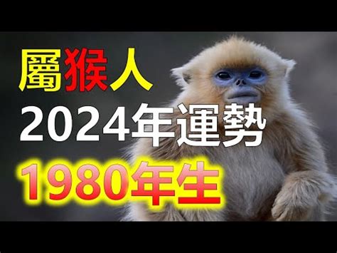 1980猴五行缺什麼|【1980猴】1980猴命運解讀！五行屬性與2023年運勢全攻略